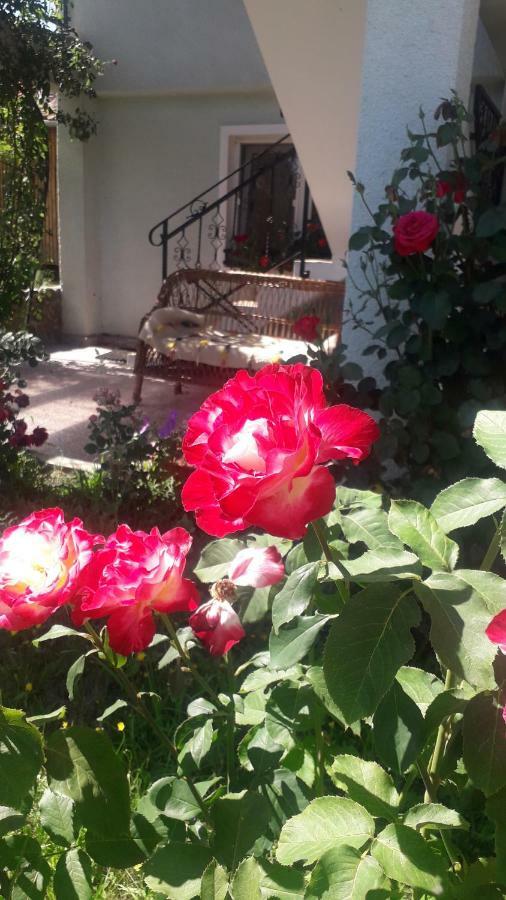 Nucsoara  Casa Maria Retezatゲストハウス エクステリア 写真