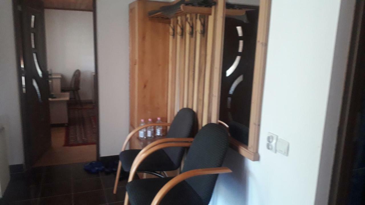 Nucsoara  Casa Maria Retezatゲストハウス エクステリア 写真